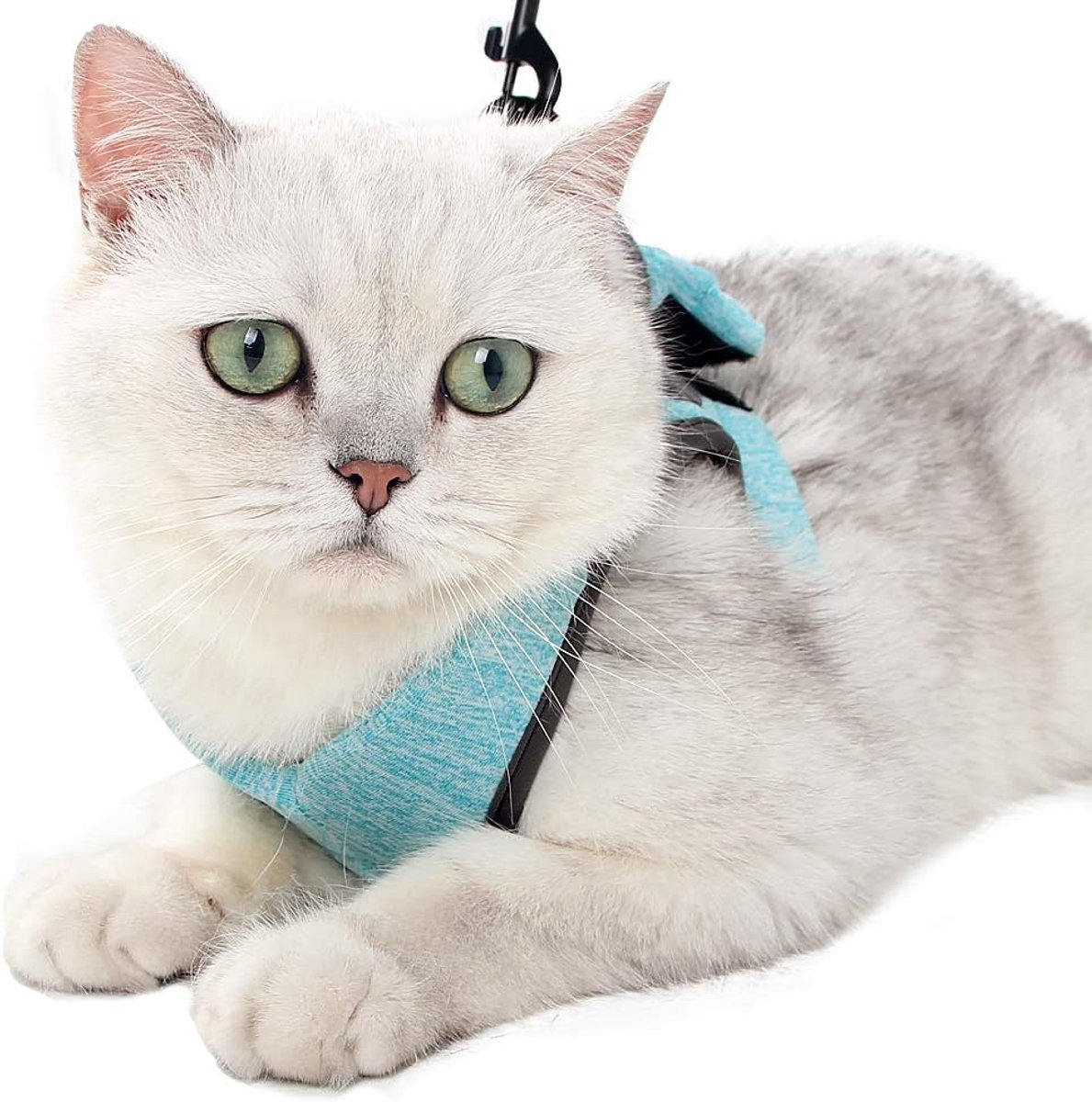 Kat Harnas en Leash Set Ultra-Licht Kitten kraag Zachte en Comfortabele Kat wandel jas Hardloop kussen, ontsnappingsbestendig Geschikt voor Puppies Konijnen(M, Groen2)