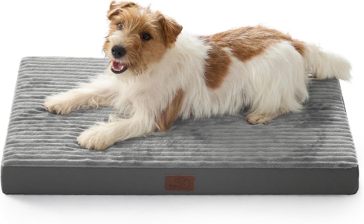 Verhoogd hondenbed - Grijs - 74 x 46 x 7,5 cm - Orthopedisch schuim - Voor kleine honden