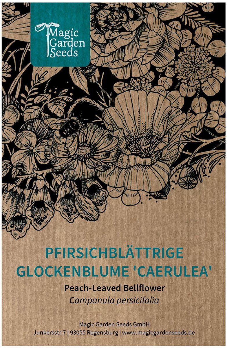 Perzikbladige Klokjesbloem Zaad (Campanula persicifolia) - 750 Zaden