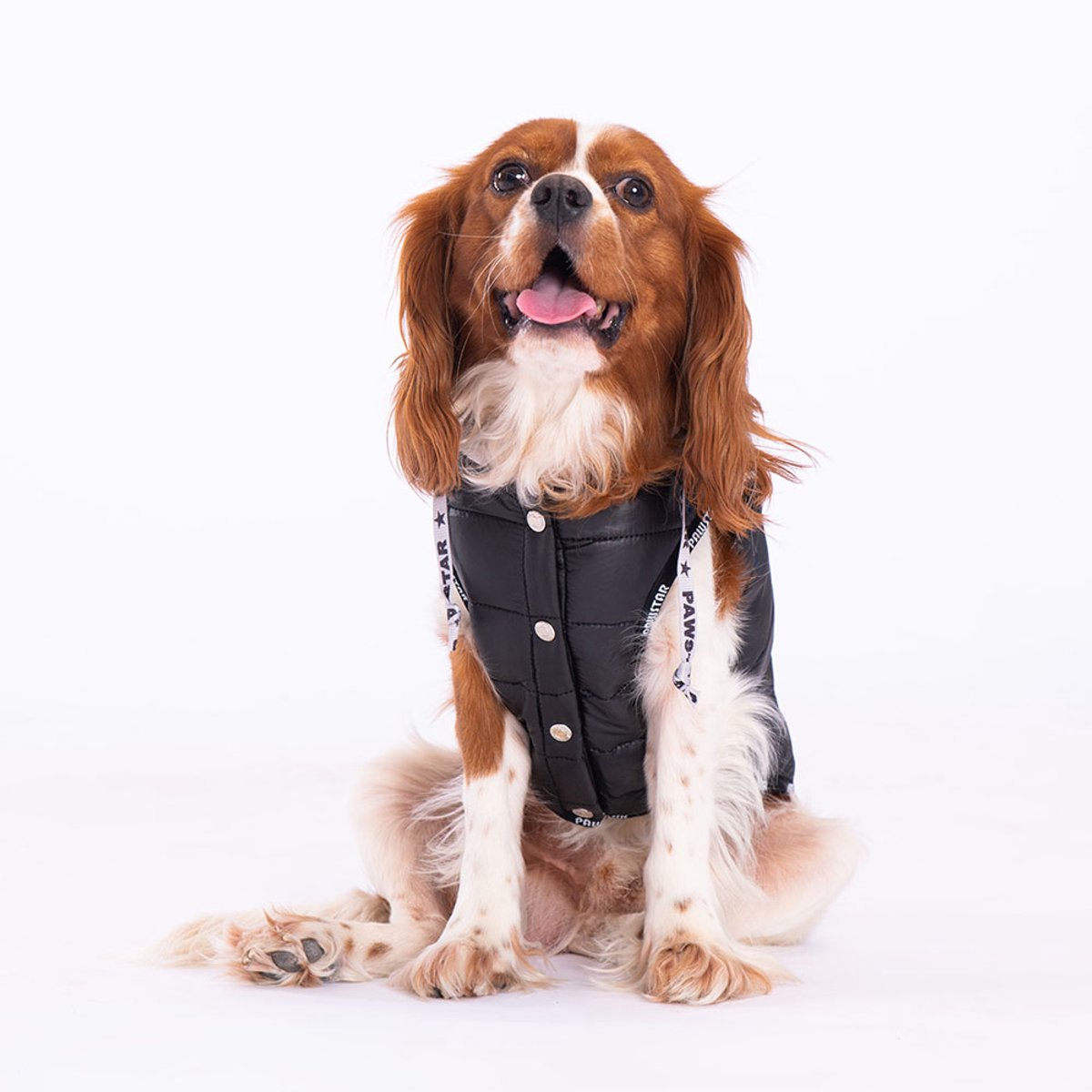 Pawstar Railway - Hondenbodywarmer - Zwart - L