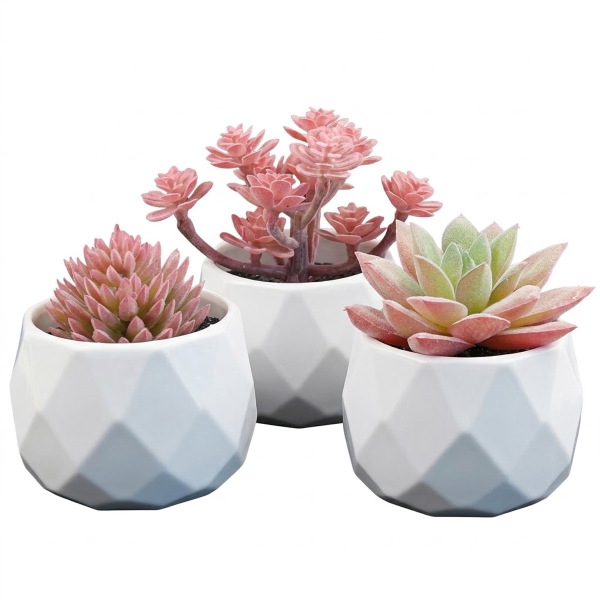 NUVEX Roze groene kunstplanten vetplanten in witte potten 3 stuks – mini kunst planten met verschillende bladvormen – decoratieve nep planten voor bureau vensterbank boekenplank slaapkamer kantoor en badkamer
