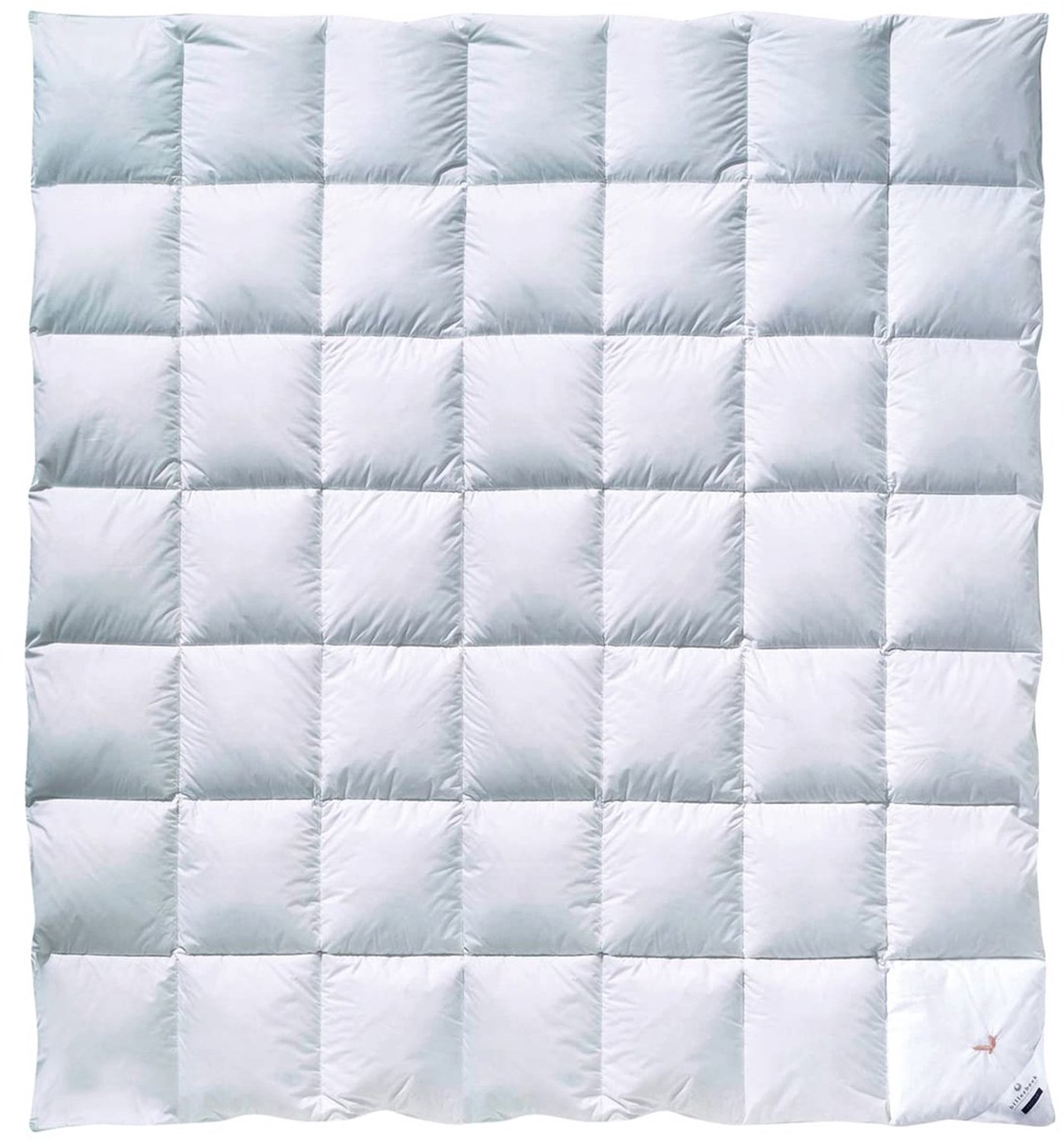 Duraxl Dekbed - Donzen - All-year - 200 x 200 cm Wit