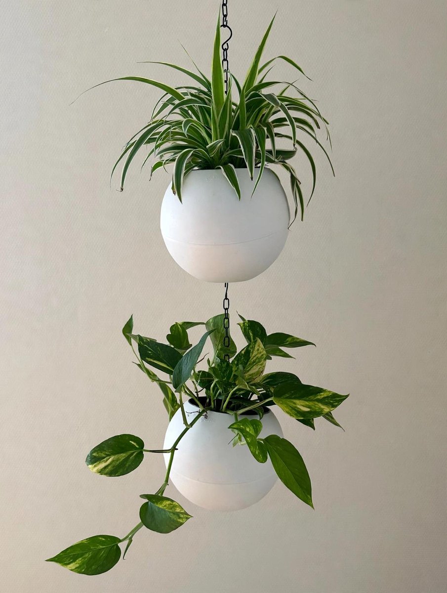 Globeee Bloempot White