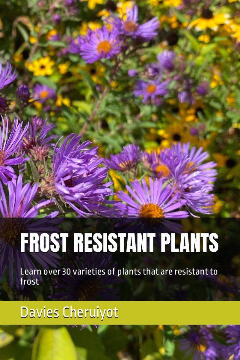 FROST RESISTANT PLANTS: Learn over 30 varieties of plants that are resistant to frost - ShopVlot