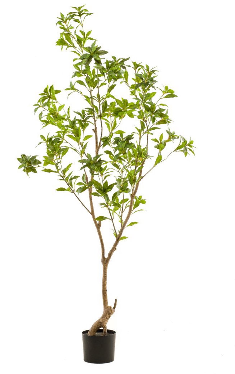 Tea leaf tree 185 cm kunstplant Emerald