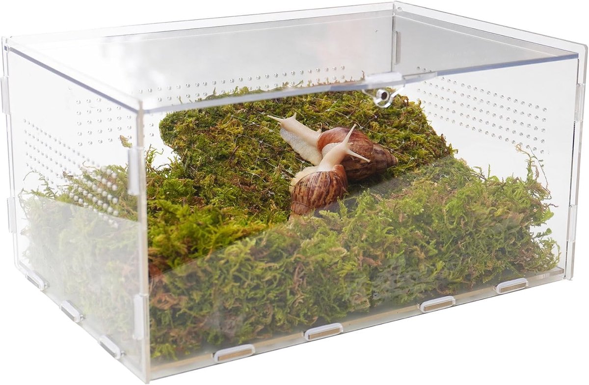 SnelShoppen - Snail Terrarium Set met Klimaccessoires 28.5x20x15.2 cm - Duidelijk Huis voor Slakken, Rupsjes en Kleine Insecten - Inclusief 17.8 cm Kl
