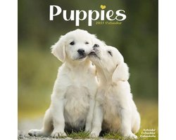 Puppies Kalender 2027