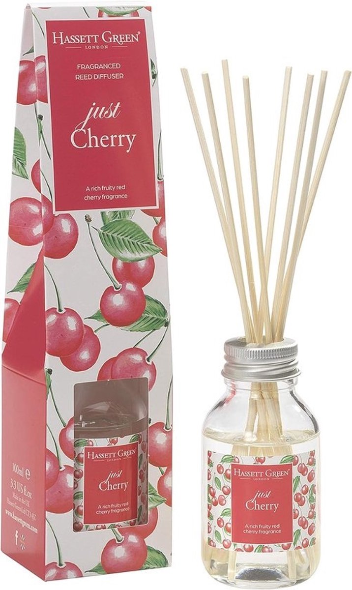 Langdurige geurstokjes - 100 ml - Elegante geurverspreider - voor thuis - met rietstokken
