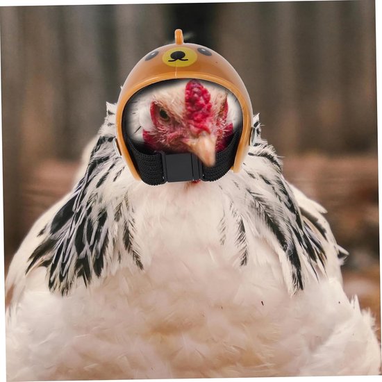 4 Stuks Hens Hoedjes Veiligheidshelmen Kippen Verstelbare Dierenaccessoires Kleine Huisdieren Bescherming tegen Geschikt Papegaaien Vogels Assortiment Kleuren — afbeelding 3