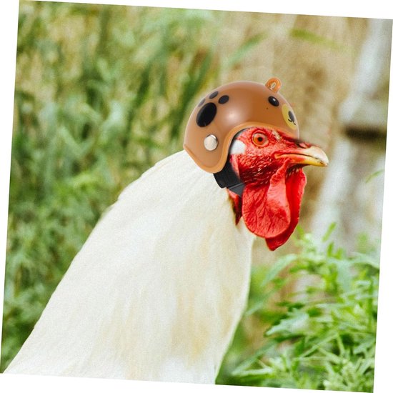 4 Stuks Hens Hoedjes Veiligheidshelmen Kippen Verstelbare Dierenaccessoires Kleine Huisdieren Bescherming tegen Geschikt Papegaaien Vogels Assortiment Kleuren — afbeelding 4