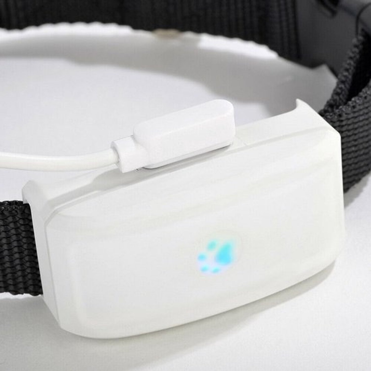 Lichte GPS-tracker - Met halsband voor hond en kat - Realtime lokalisatie zonder abonnement