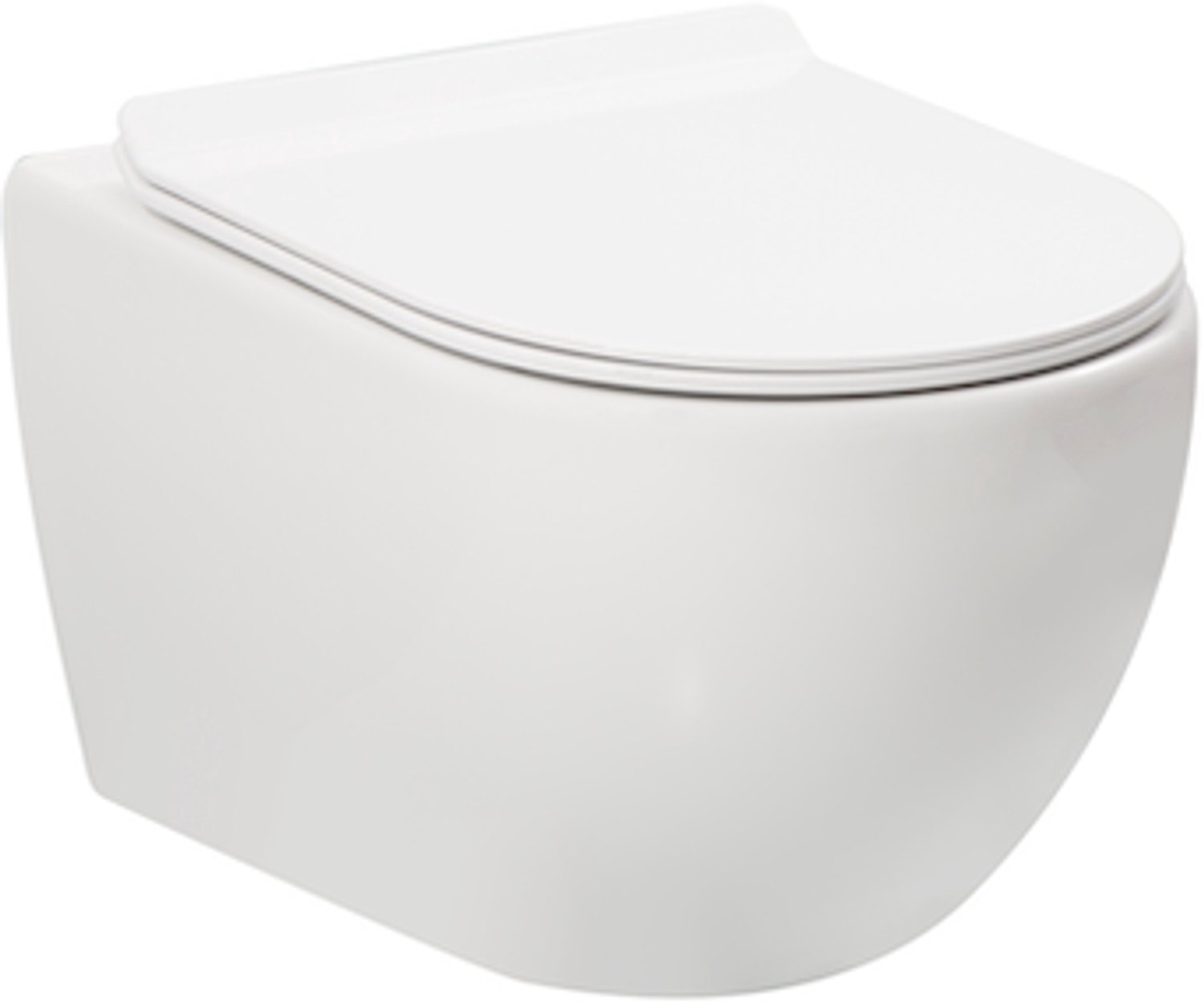 Ravius 53 - Mat wit - Toiletpot met zitting