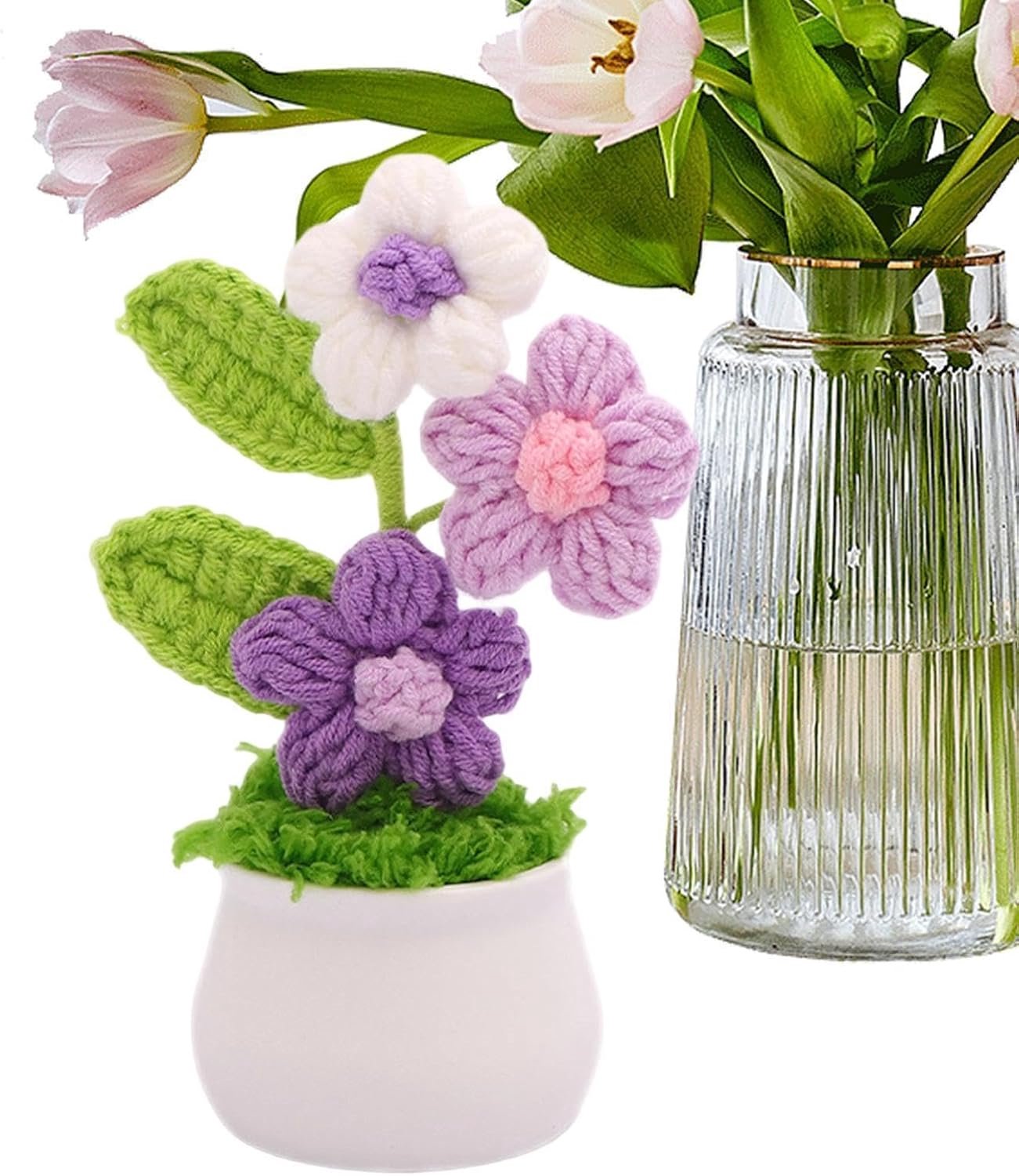 Haak Plant Gradiënt Handgemaakte Decoratieve Kleurrijke