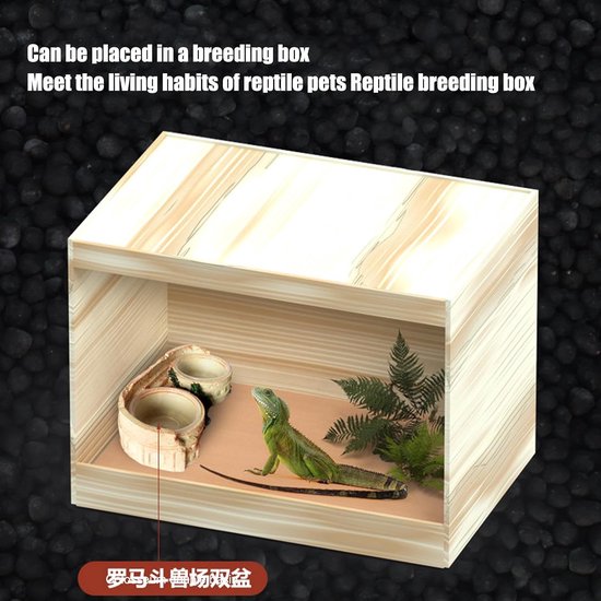 Reptiel Voerbak Transparante Kom — afbeelding 3