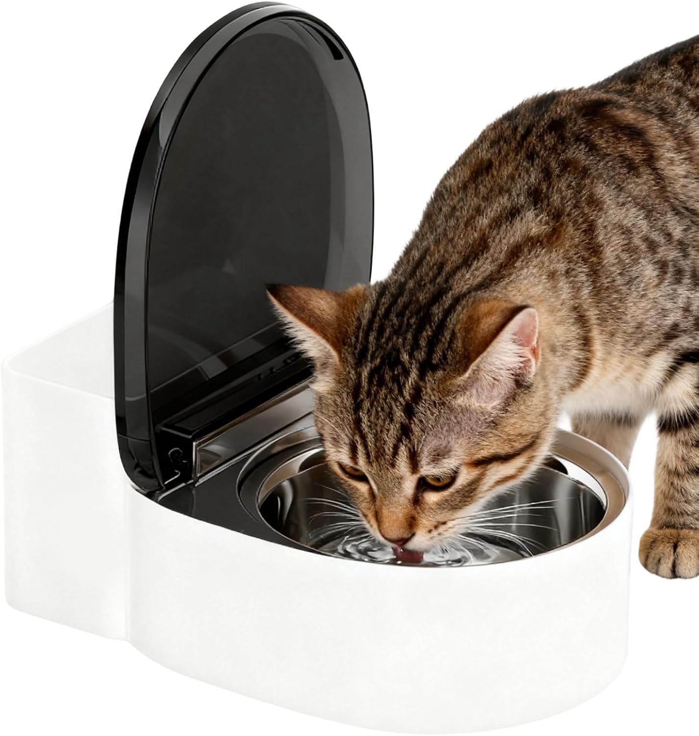Katten Drinkbak Toilet Vormige Grappige Kleine Waterbak