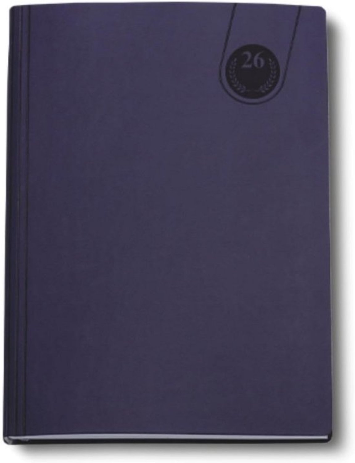 Dagkalender 2025 - A4-weekplanner - Groot blauw - Overzichtelijke agenda - Voor jaarplanning