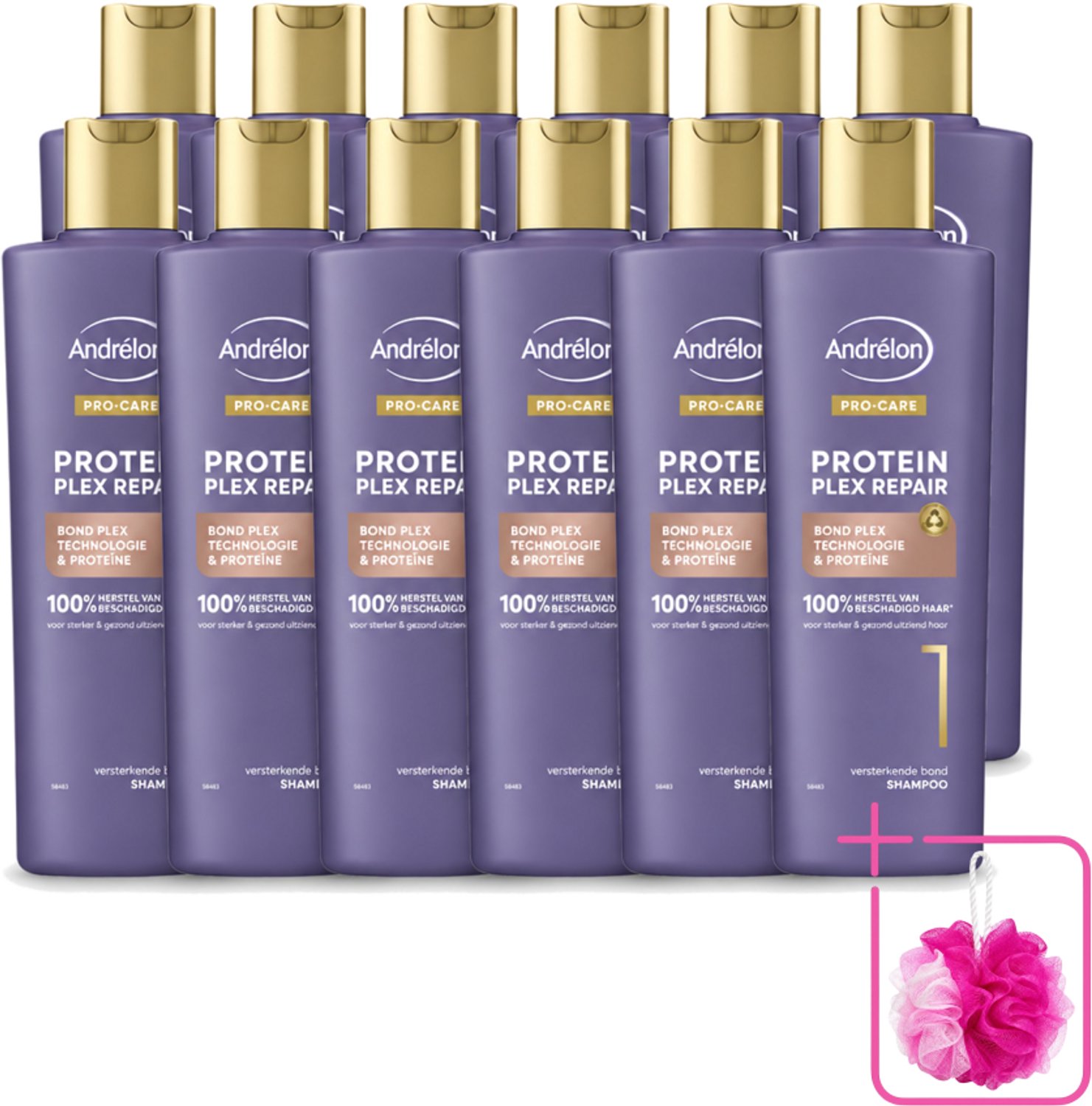 12 x Andrélon – Shampoo – Pro Care Protein Plex Repair – 250 ml - Bulkverpakking - Herstel haar - Beschadigd haar