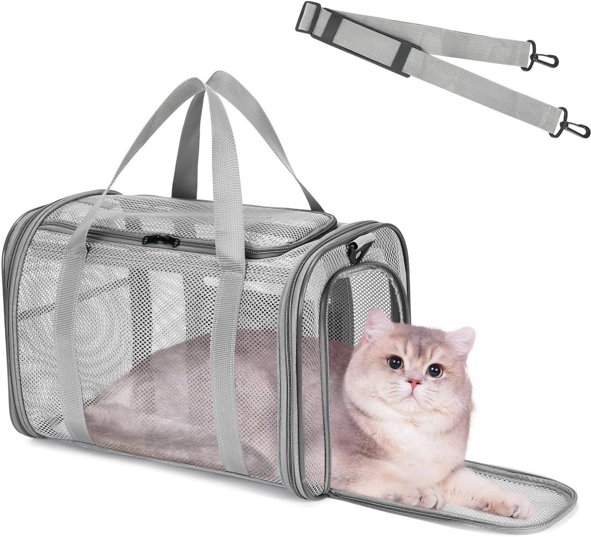 Huisdieren Transporttas, Ademend en Vouwbaar, Ideaal voor Katten en Honden, Reiszak voor Auto en Trein (42 x 26 x 29 cm)