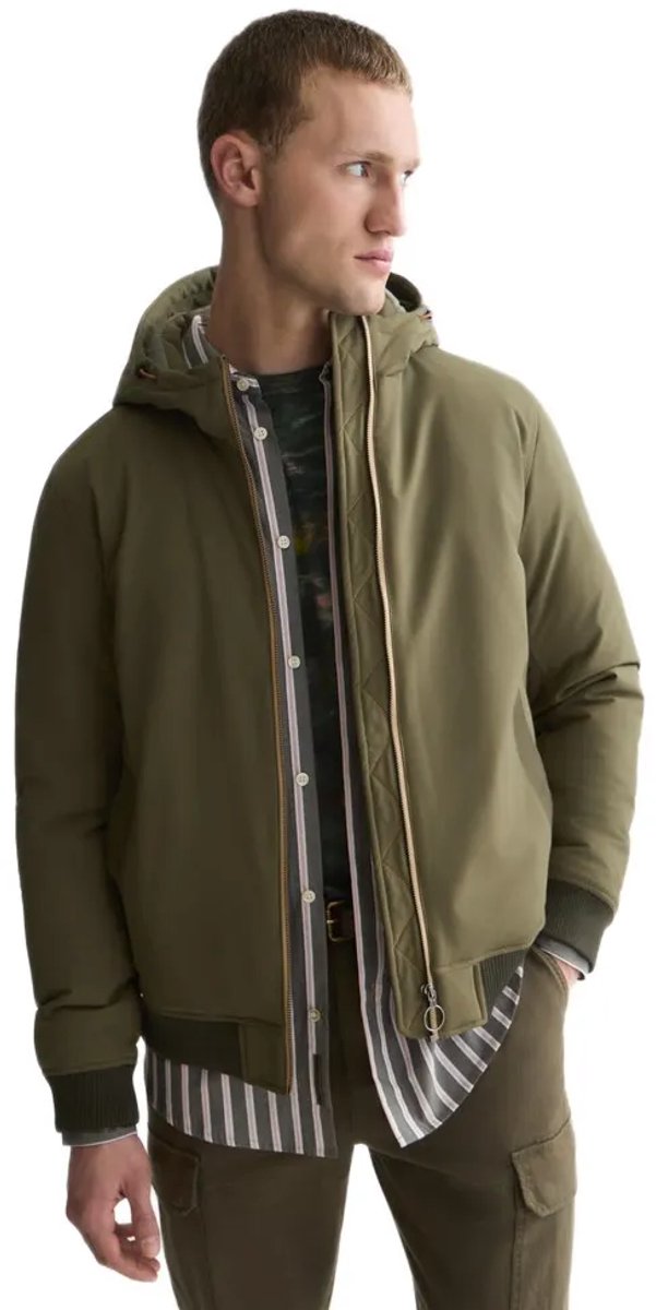 Hooded softshell padded jacket