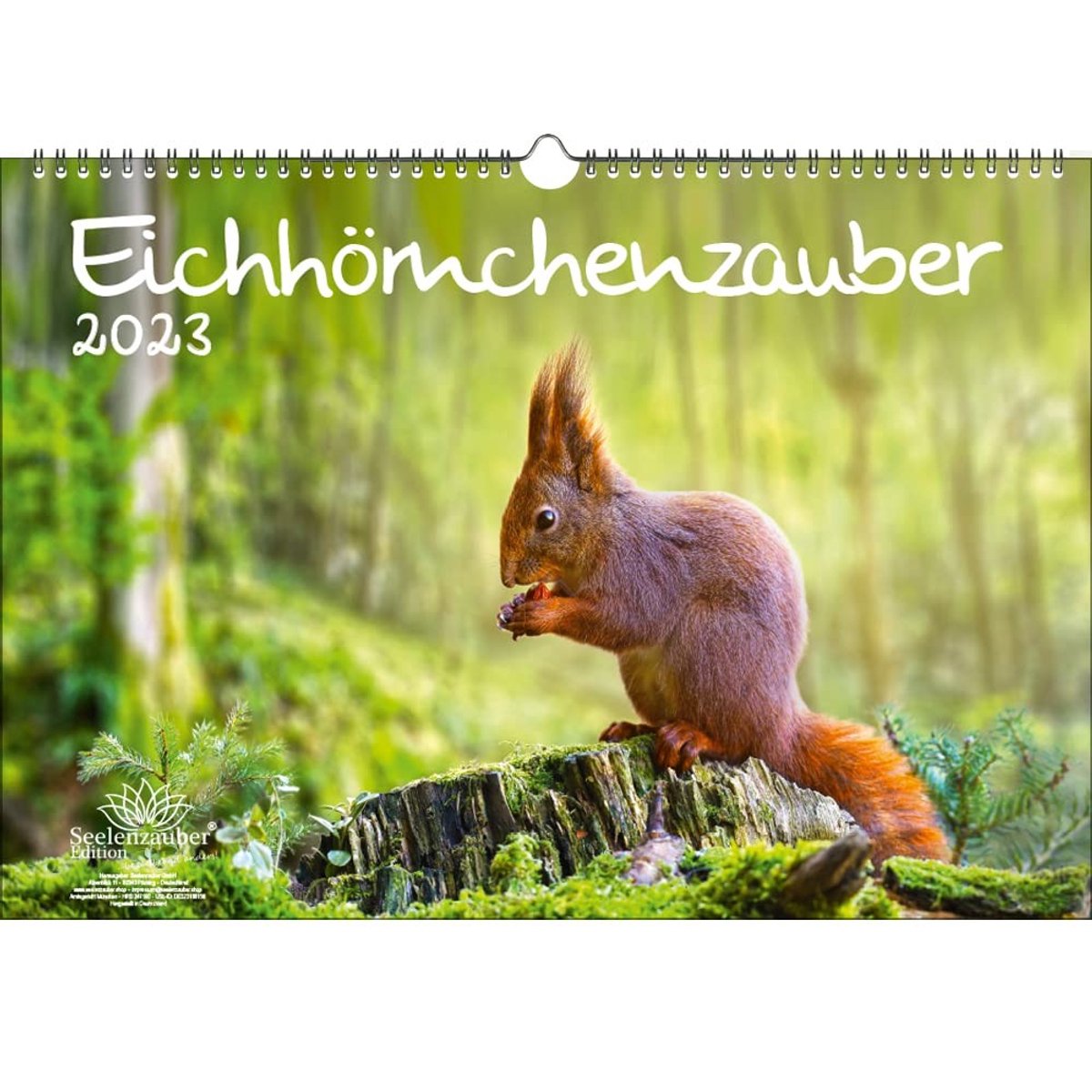 Elzusha - Wandkalender A3 2023 - Thema Eekhoorns