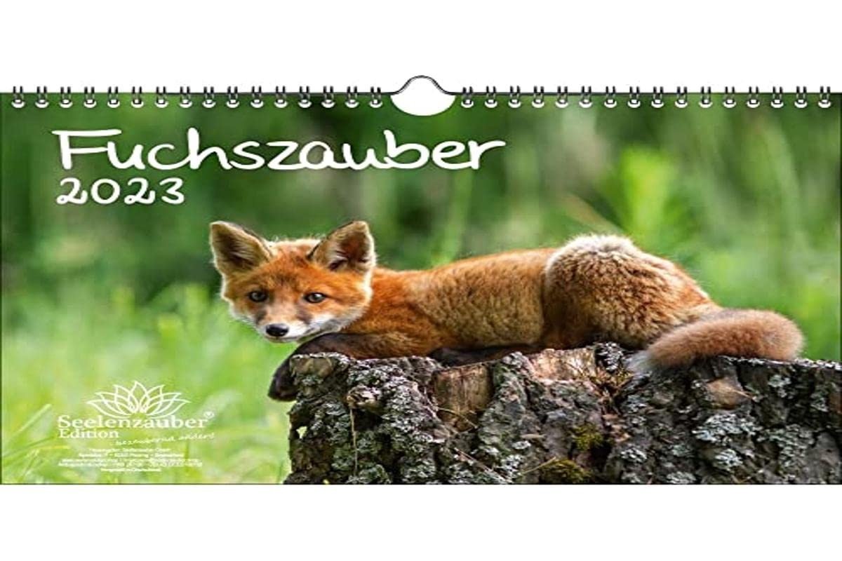 Elzusha - A4 Kalender 2023 - Multicolour