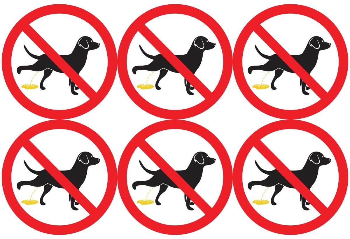 Elzusha - Zelfklevende Sticker voor Honden Plassen - 15 cm Ø - Set van 6