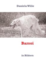 Barsoi