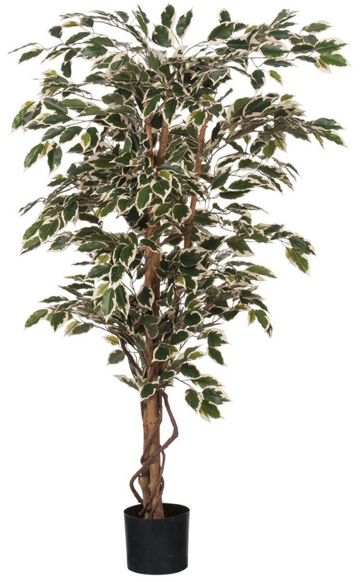 Mica Decorations Ficus Kunstplant - H150 x Ø75 cm - Groen Bont