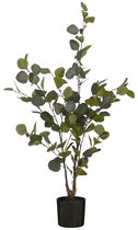 Mica Decorations Eucalyptus Kunstplant in Bloempot - H95 x Ø55 cm - Groen