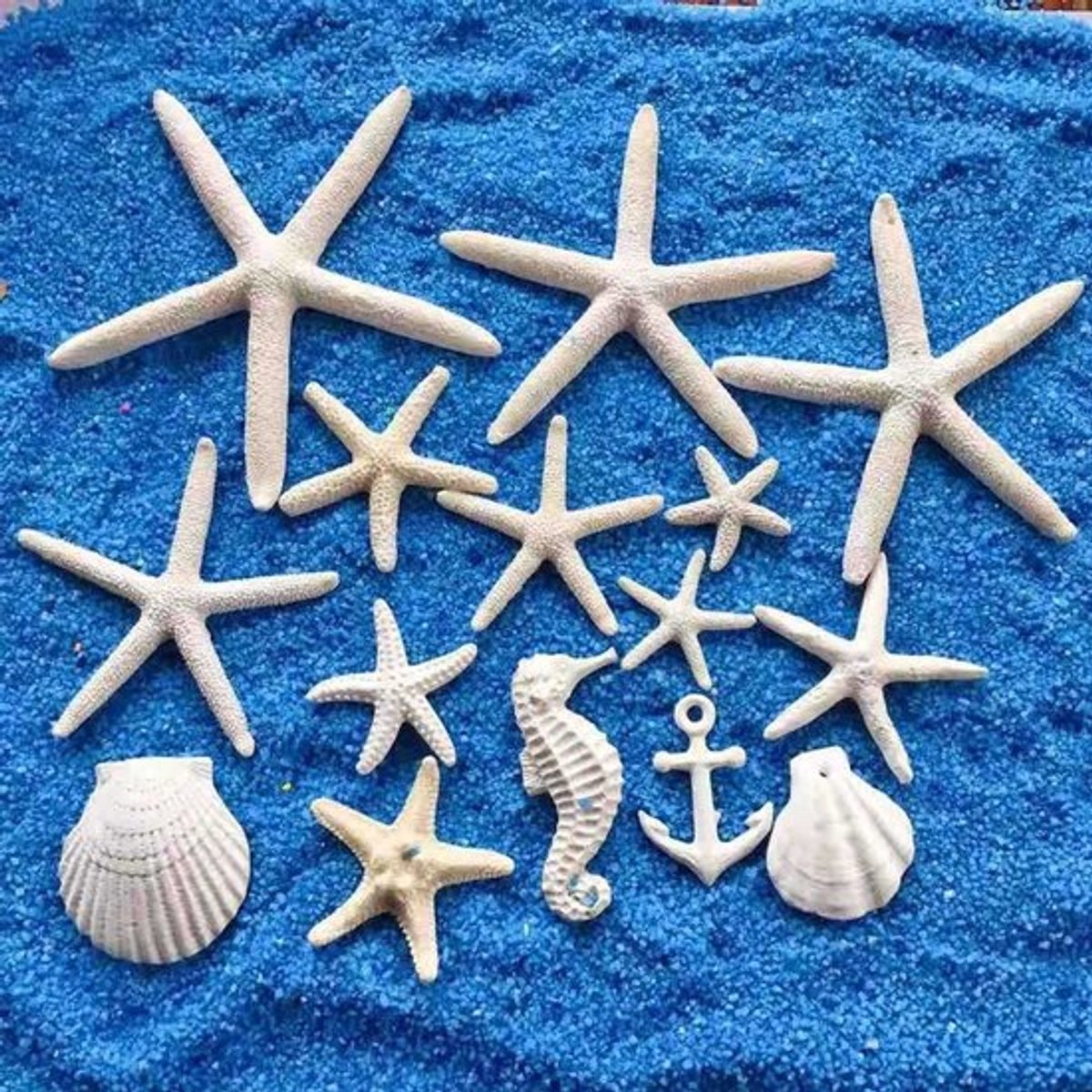 Dailygoods- Zeesterren Set van 15 Stuks - Miniatuur Ornamenten - Hars Decoratie