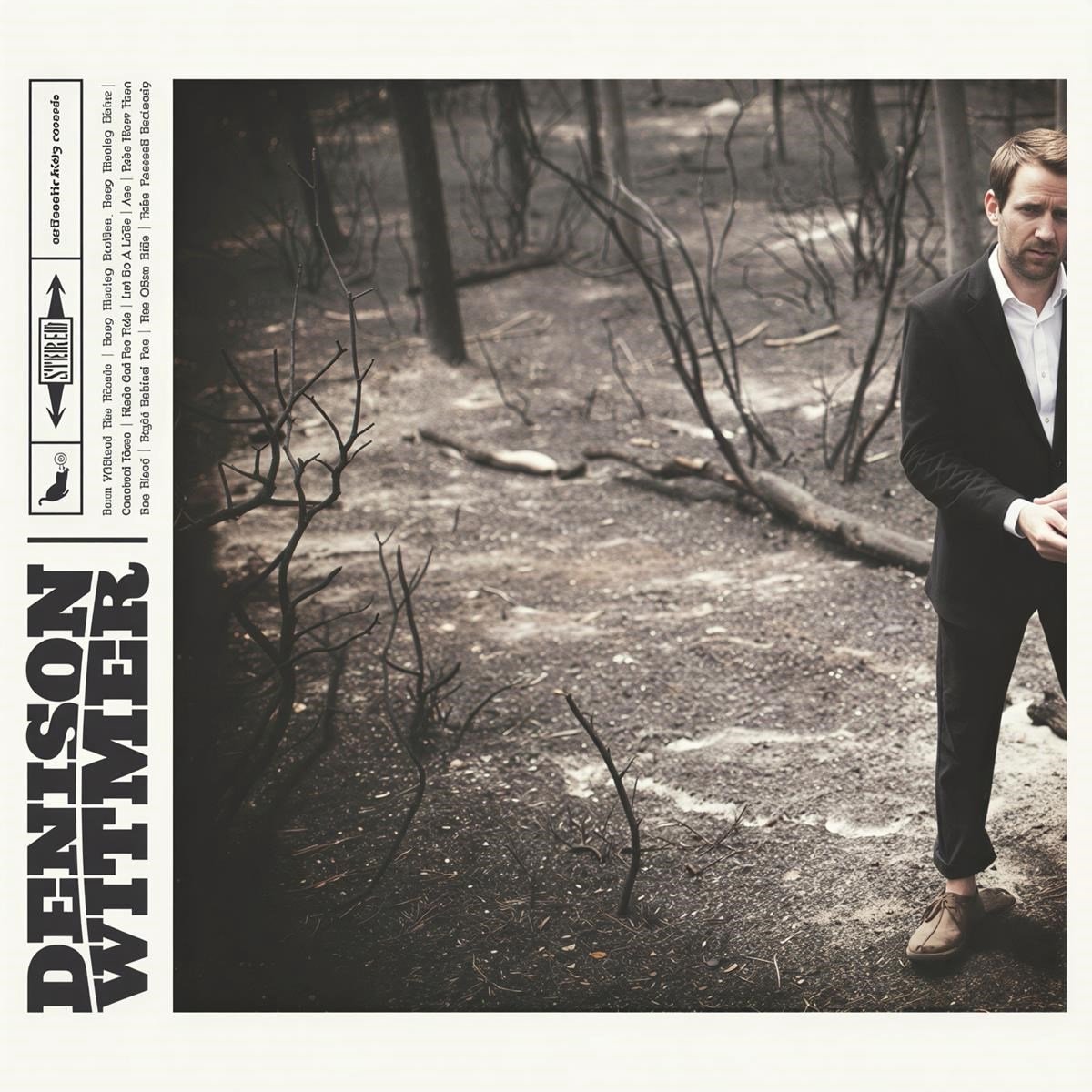 Denison Witmer - Denison Witmer (LP)