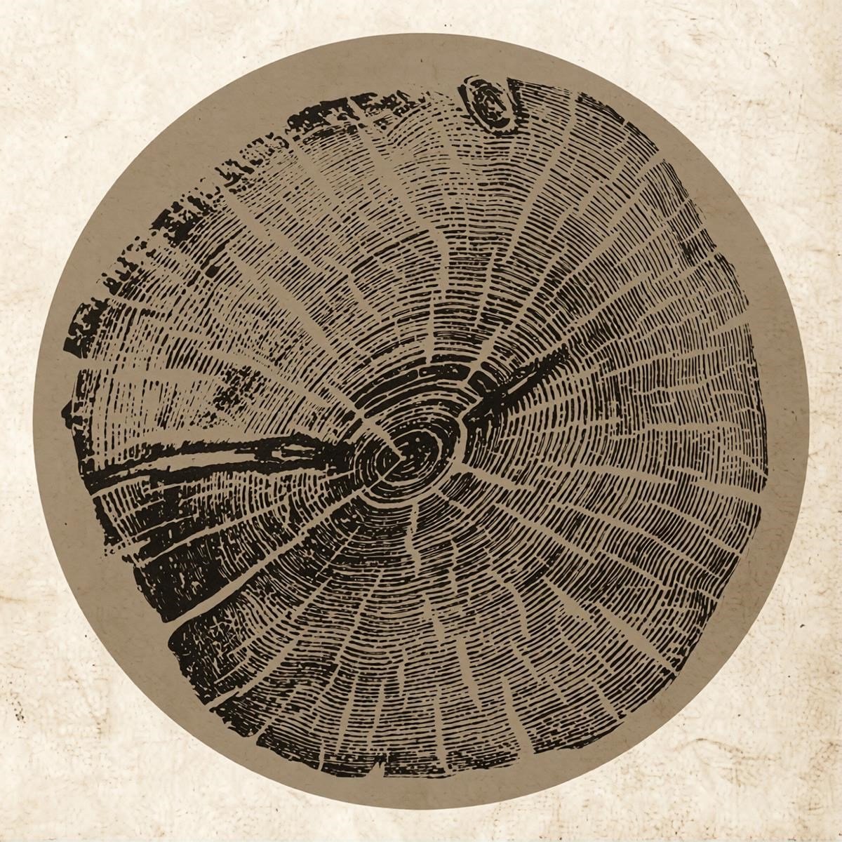 Roy Montgomery - H: Bender (LP)