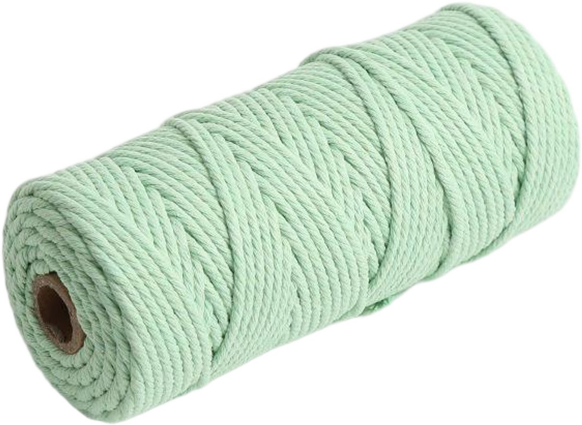 Macramétouw 3 mm x 100 m, natuurlijk katoenen draad voor wanddecoratie, plantenhangers, boho-decoratie,Lichtgroen