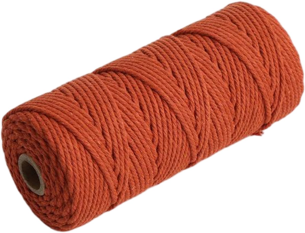 Macramétouw 3 mm x 100 m, natuurlijk katoenen draad voor wanddecoratie, plantenhangers, boho-decoratie,Gouden Naald Rood