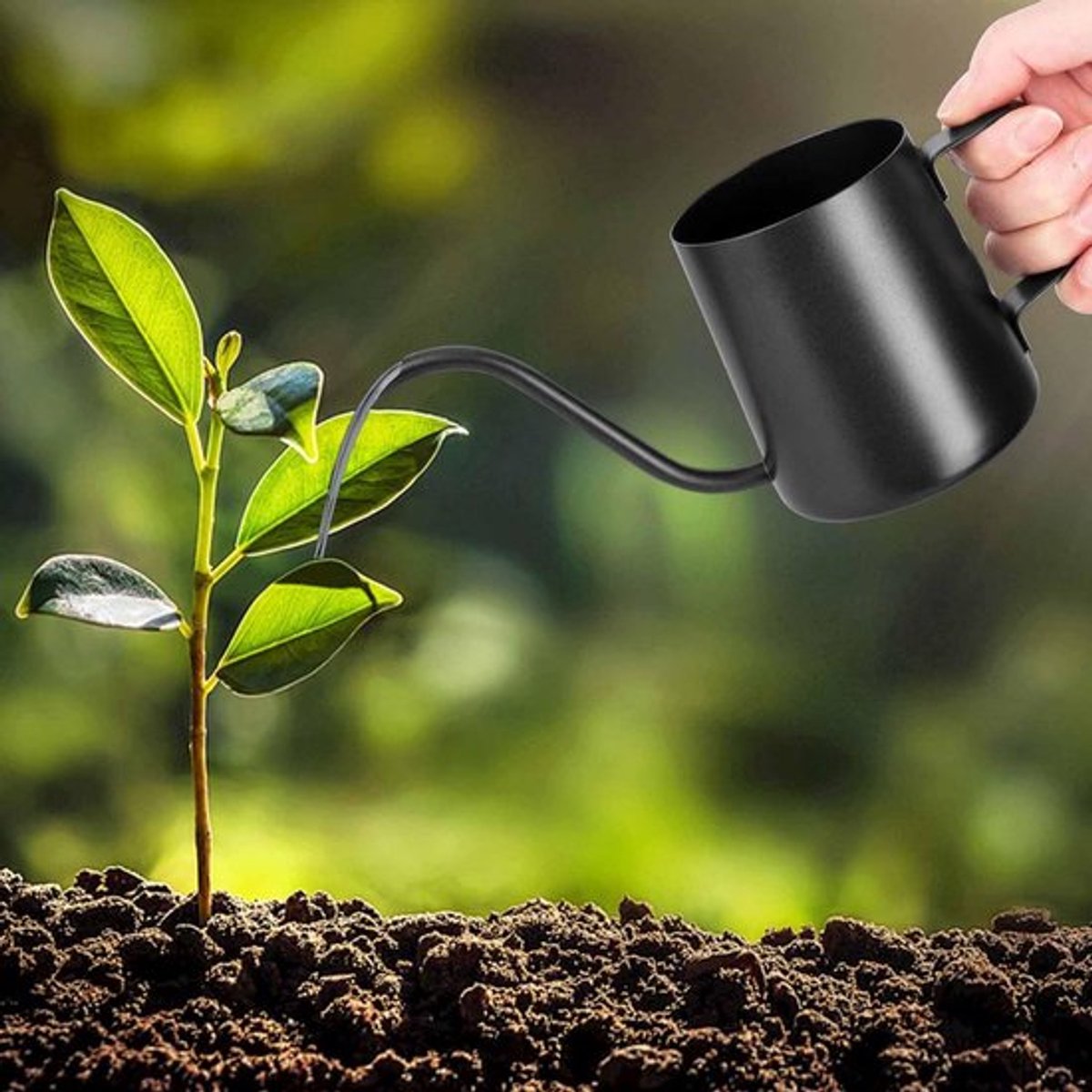 Zwarte gieter voor kamerplanten - 350 ml - roestvrij staal