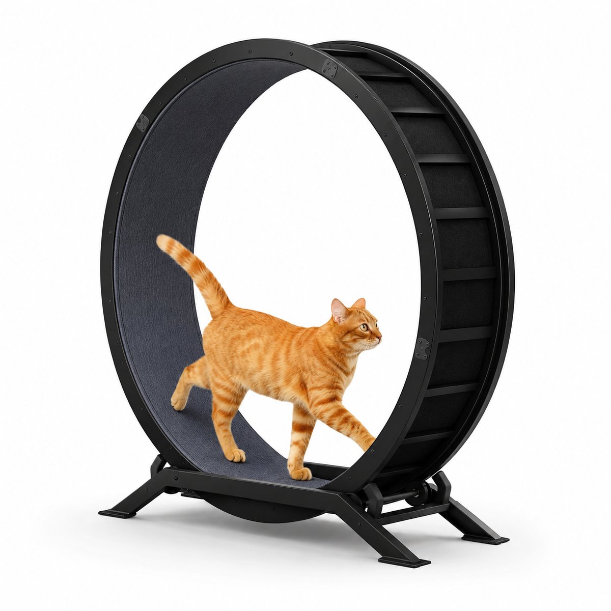 Molhaus Kattenloopwiel van Staal met Stille rollers - Vergrendeling - Afneembare loopmat - Belasting 50 kg - Katten - Krabmat