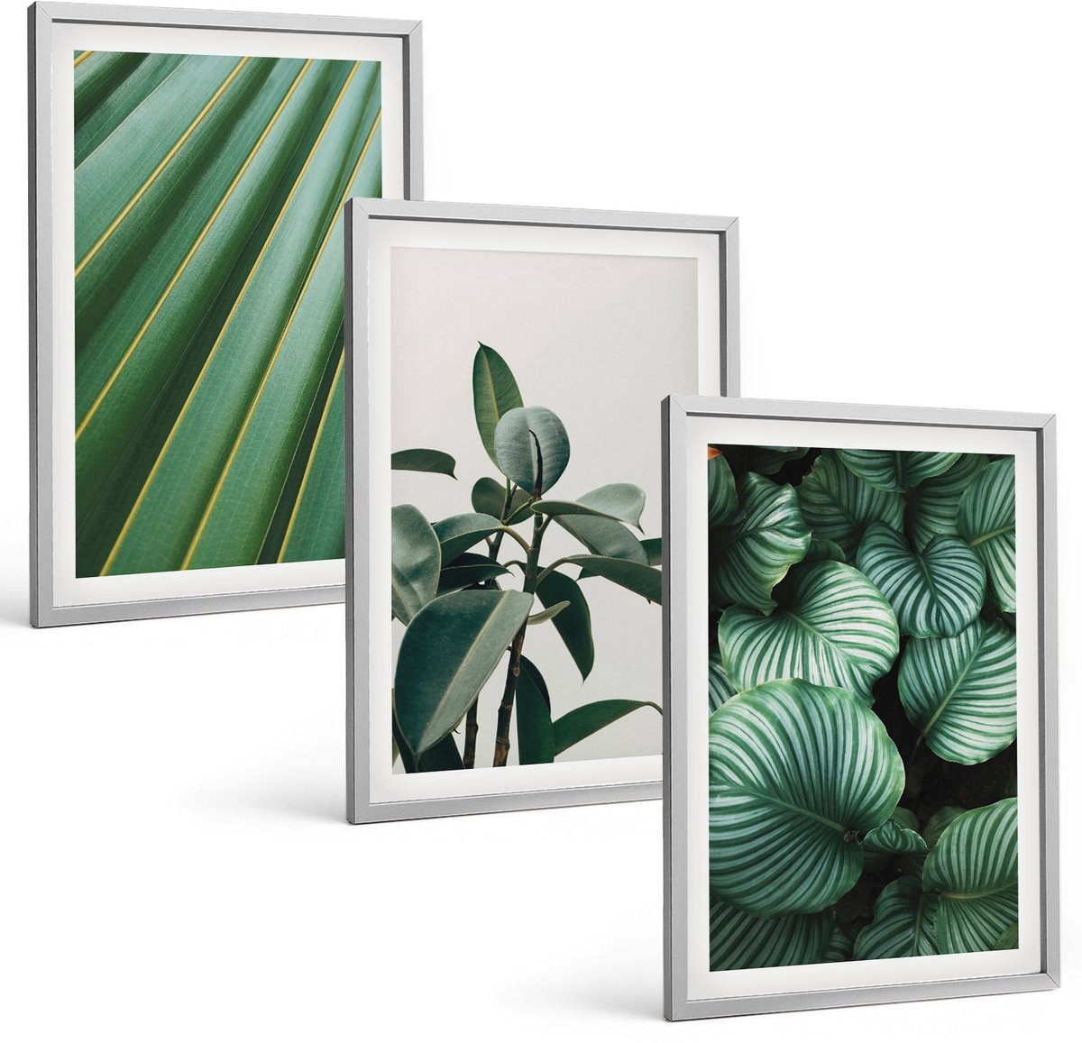 Coloray 3-Delige Schilderij Set - Esthetische Tropische Bladeren In Diverse Groene Tinten - 40 x 60 cm - Muurdecoratie - Decoratieve Schilderijen - Wohnzimmer