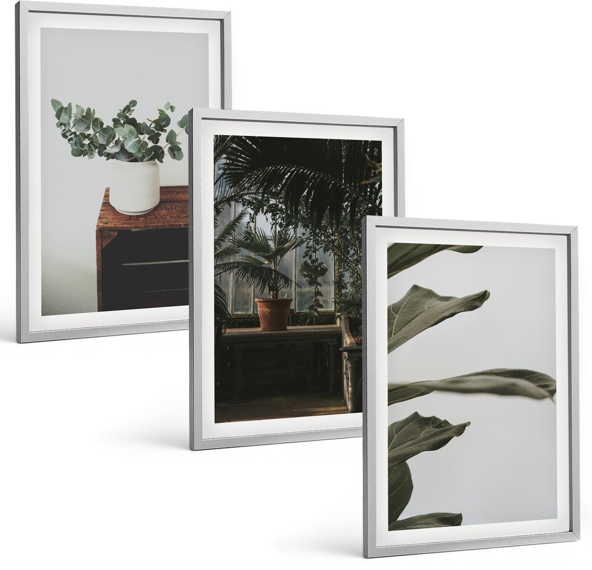 Coloray 3-Delige Schilderij Set - Rustieke Bladeren Potplanten - 40 x 60 cm - Muurdecoratie - Wanddecoratie - Slaapkamer - Moderne Wanddecoratie