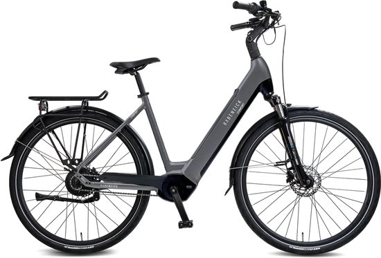 Grijze Rabeneick elektrische damesfiets met lage instap, bagagedrager en verende voorvork.