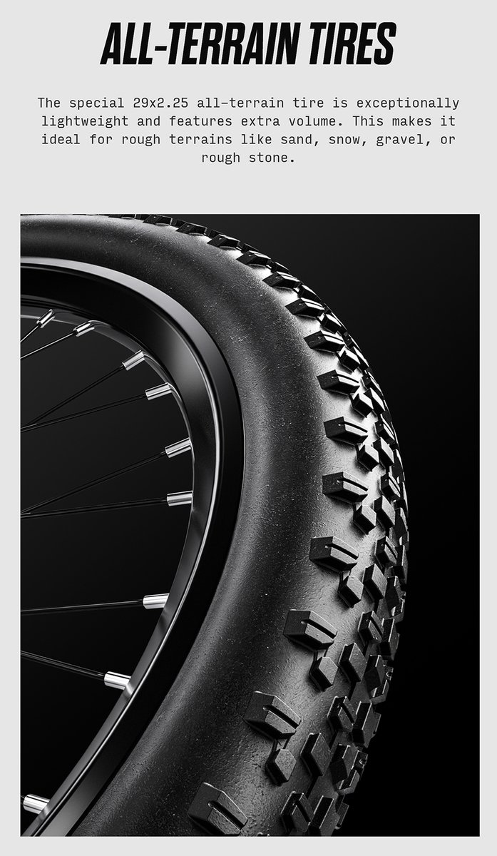 JOOBIKE JOO2 E-bike - 25 km/u - 29inch - 50km actieradius - 48V16Ah accu - grijs — afbeelding 5