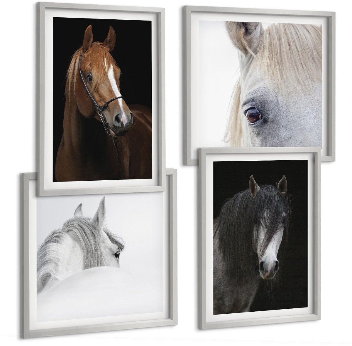 Coloray 4-Delige Schilderij Set - Portretten Van Paarden In Verschillende Vachtkleuren - 40 x 40 cm En 40 x 60 cm - Decoratieve Schilderijen - Wanddecoratie - Hal - Muurdecoratie