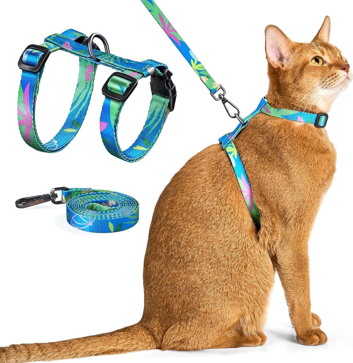 Kattenharnas en riem - Katten tuigje - Veilig wandelen buiten - Ontsnappingsbestendig ontwerp - Verstelbaar - Zwart