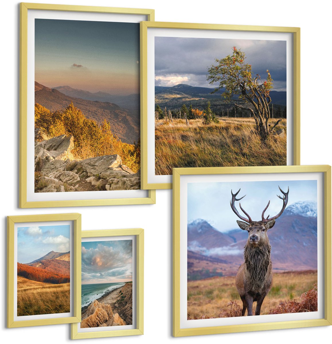 Coloray 5-Delige Schilderij Set - Natuurlandschappen Met Wilde Dieren En Bergflora - 50 x 50 cm, 20 x 30 cm En 40 x 60 cm - Muurdecoratie - Decoratieve Schilderijen - Wohnzimmer - Woonkamer Decoratie