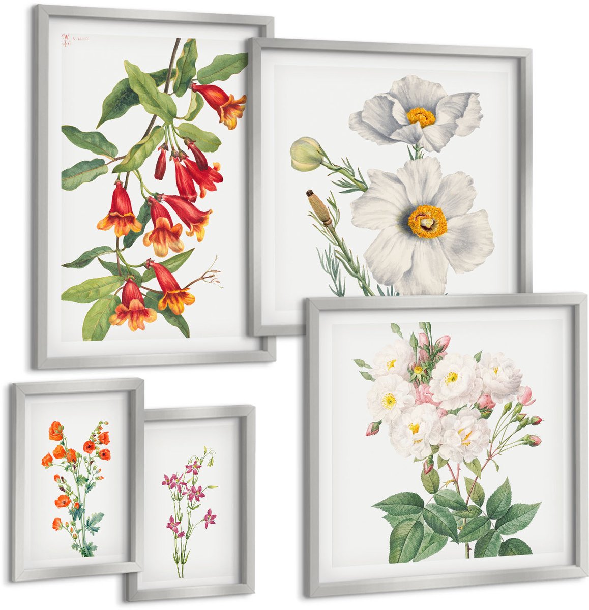 Coloray 5-Delige Schilderij Set - Retro Bloemen Uit Verschillende Steden Over De Hele Wereld - 20 x 30 cm - Stijlvolle Wanddecoratie - Interieur