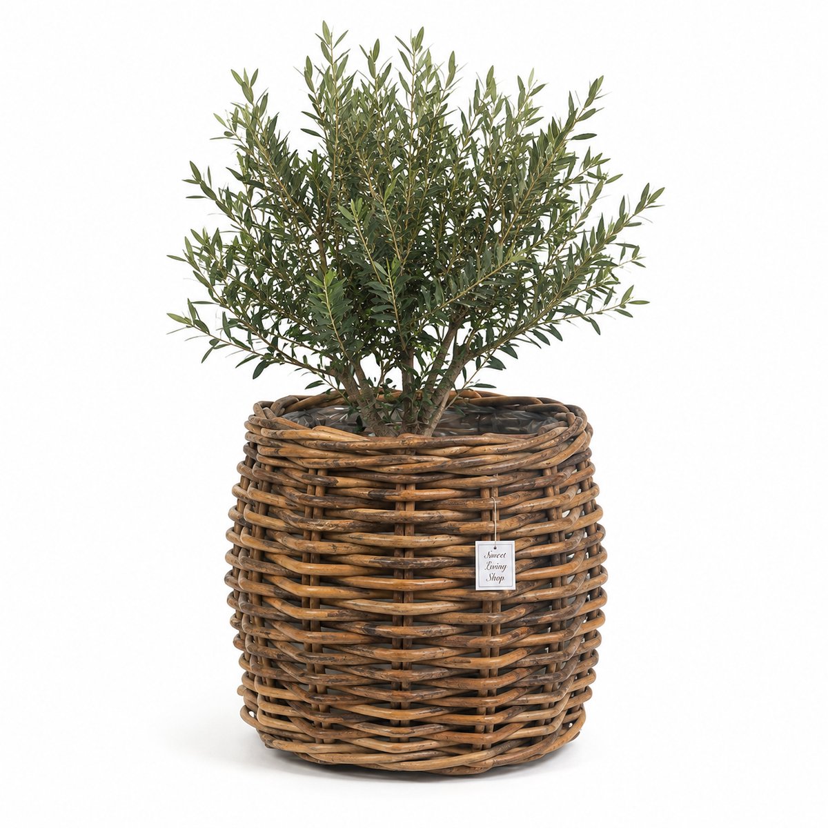 Rotan Plantenmand Wander - Ø42xH50 cm - Oval Ronde plantenmand