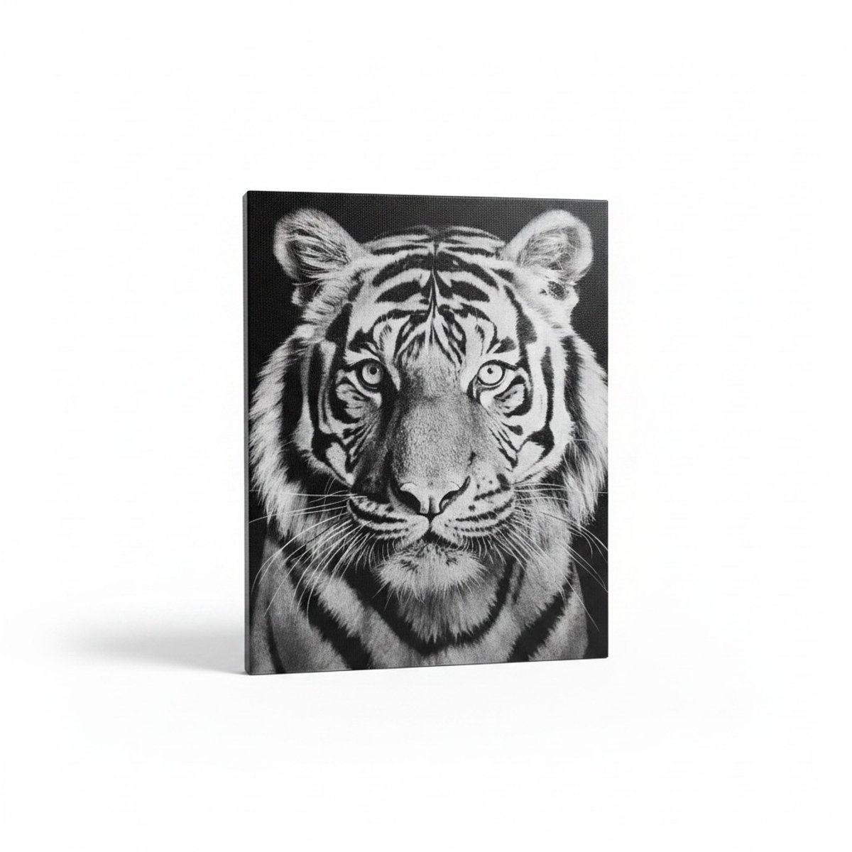 Canvas schilderij tijger - 30-25 cm