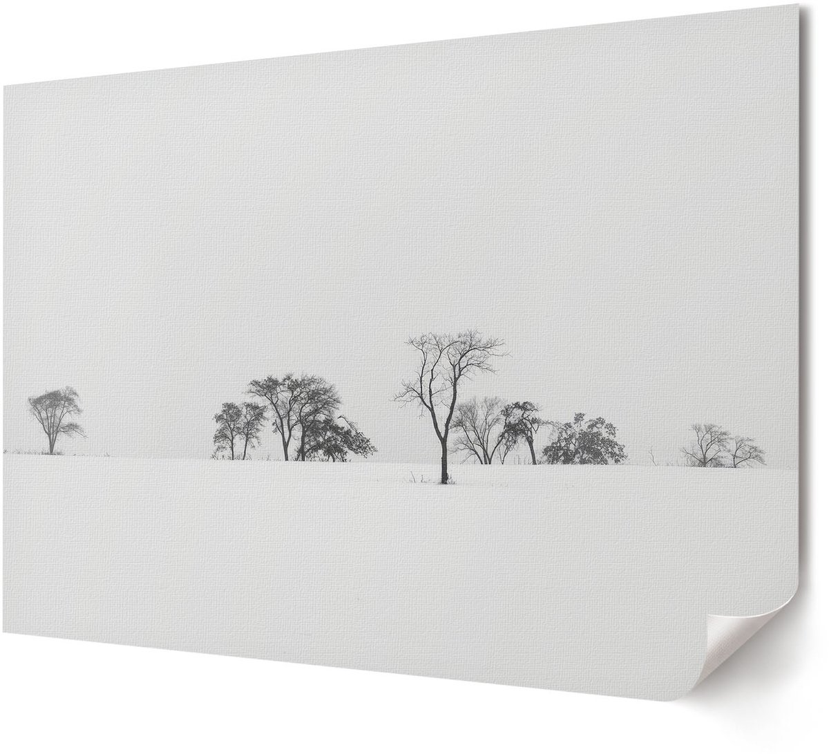 Coloray Polycanvas Wandposter - Bloemen En Bladeren, Illustratie - A4 - Blauw Motief - Rechthoek - Wandkunstwerk - Woonkamer, Slaapkamer, Kantoor - Klassiek