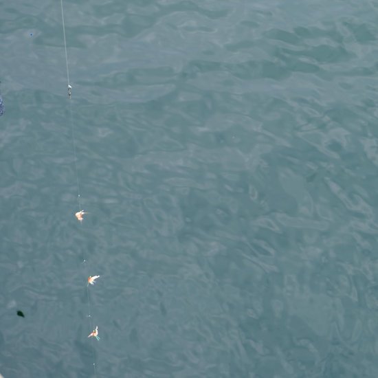 5x 130g Drop Shot Loodjes voor Sabiki - Zout & Zoetwater Vissen — afbeelding 3