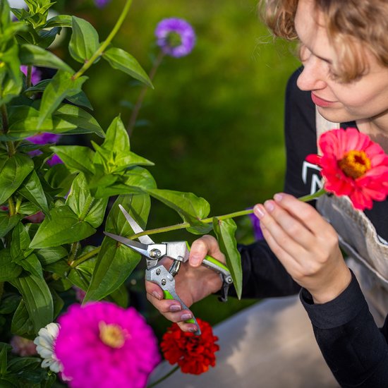 KADAX rozenschaar van koolstofstaal, snoeischaar, precisietuinschaar met 65 mm slank blad, bloemenschaar, plantenschaar met antisliphandgreep, gewasschaar van KADAX — afbeelding 5