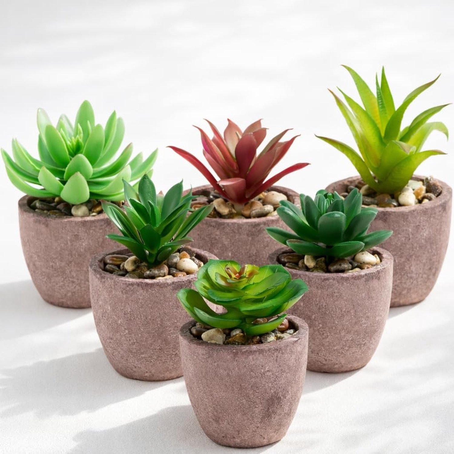 Set van 6 Kunstmatige Succulenten in Natuurlijke Vazen
